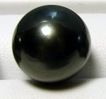 High Pearl Luster