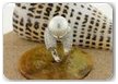 South Sea Pearl Rings White South Sea Pearl Rings