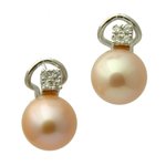 Pink Freshwater Pearl Earrings