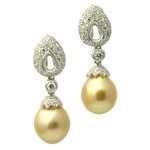 Golden South Sea Pearl Earrings